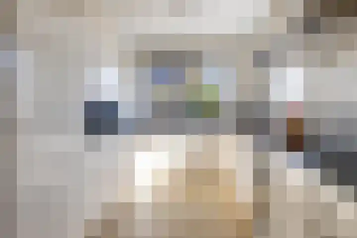 Krokus 36 Andijk thumbnail 16