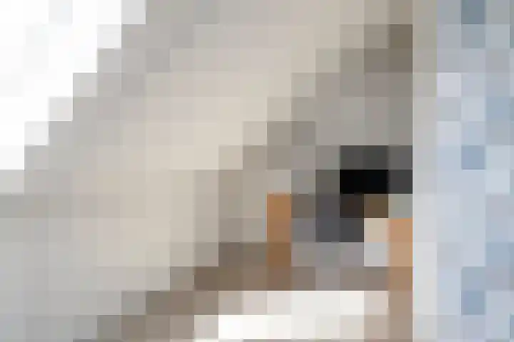 Krokus 36 Andijk thumbnail 26