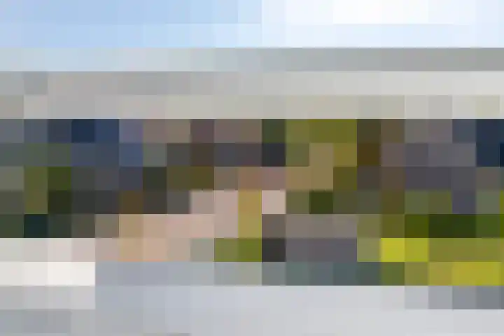 Krokus 36 Andijk thumbnail 28