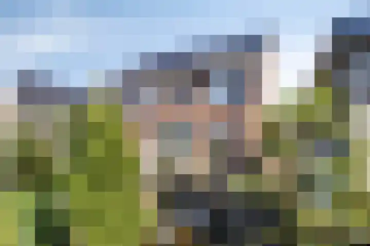 Krokus 36 Andijk thumbnail 29
