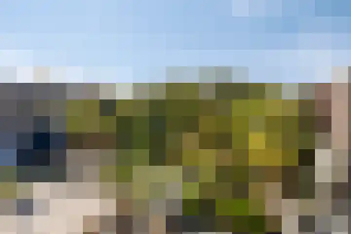Krokus 36 Andijk thumbnail 30