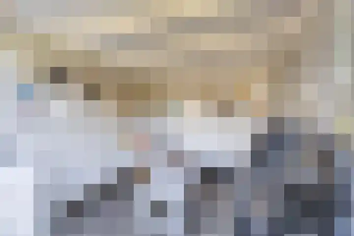 Krokus 36 Andijk thumbnail 32