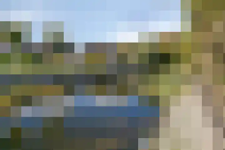 Krokus 36 Andijk thumbnail 33