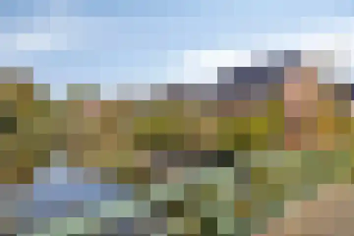 Krokus 36 Andijk thumbnail 34