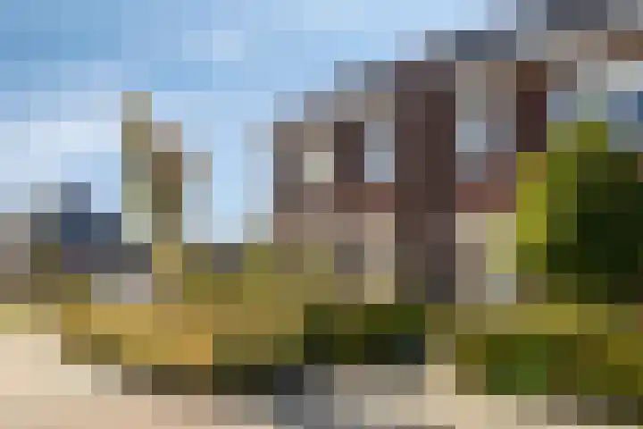 Krokus 36 Andijk thumbnail 36