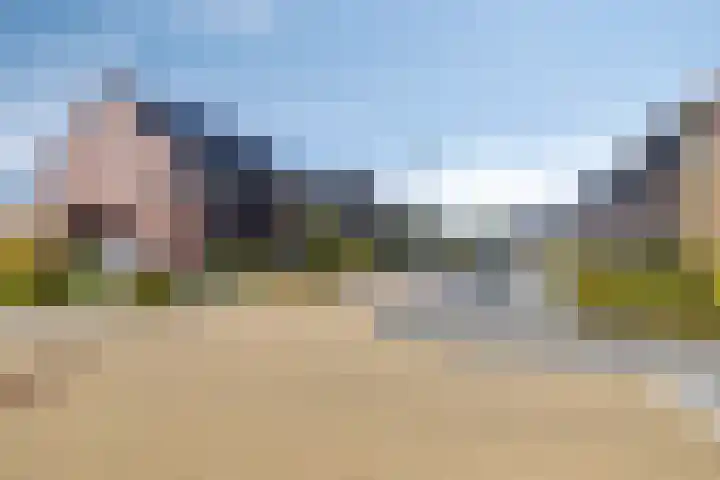 Krokus 36 Andijk thumbnail 37
