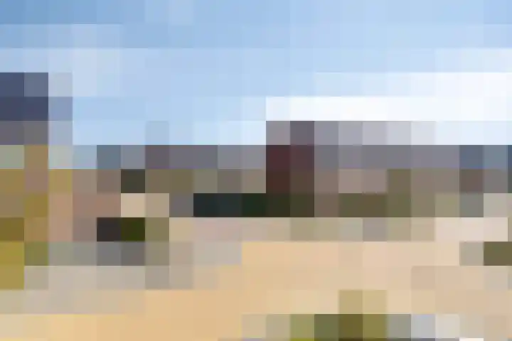 Krokus 36 Andijk thumbnail 38