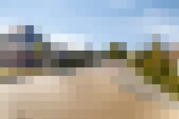 Krokus 36 Andijk thumbnail 39