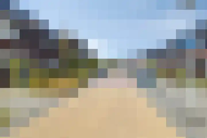 Krokus 36 Andijk thumbnail 40