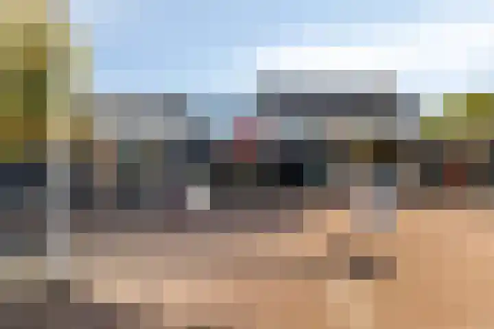 Krokus 36 Andijk thumbnail 41