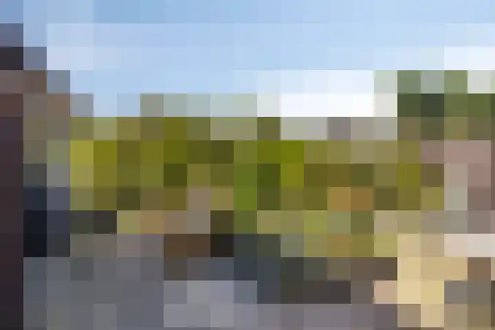 Krokus 36 Andijk thumbnail 6