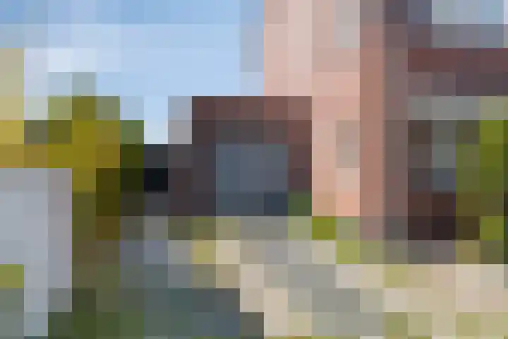 Krokus 36 Andijk thumbnail 7