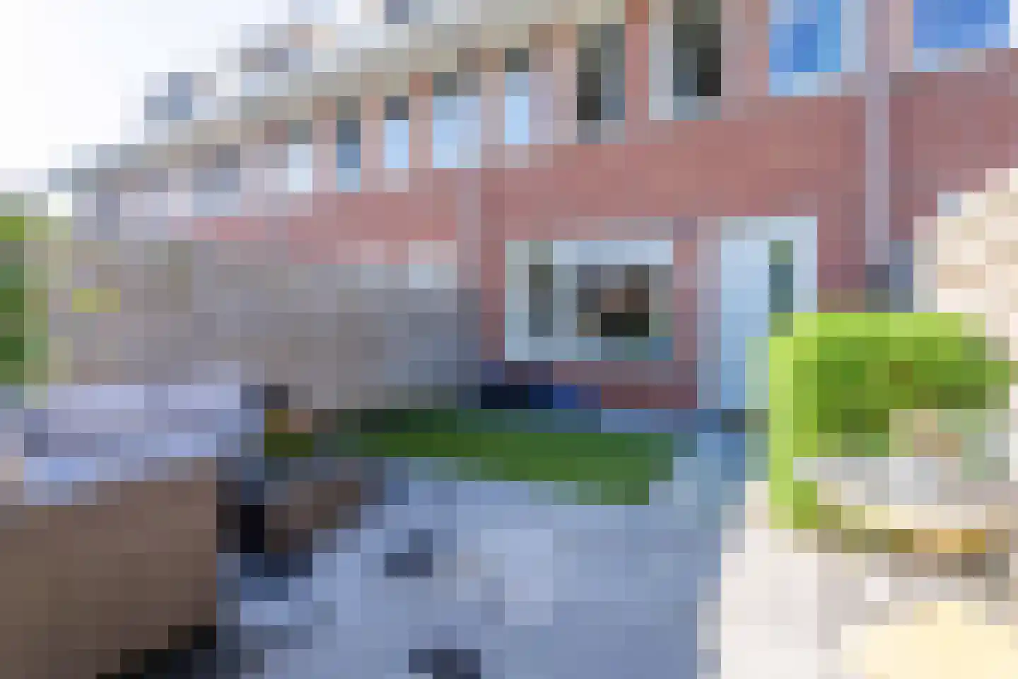 Krokus 56 Voorhout thumbnail 37