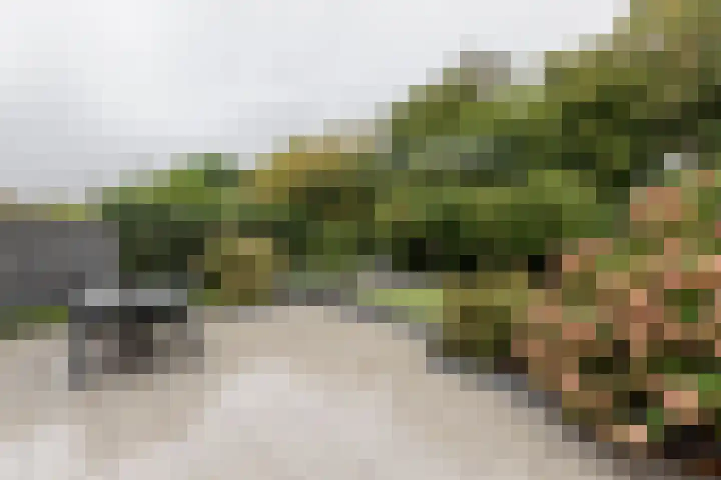 Krokusbeemd 39 Maastricht thumbnail 20