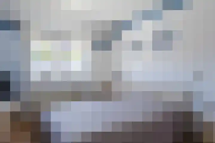 Krokushof 10 Oss thumbnail 13