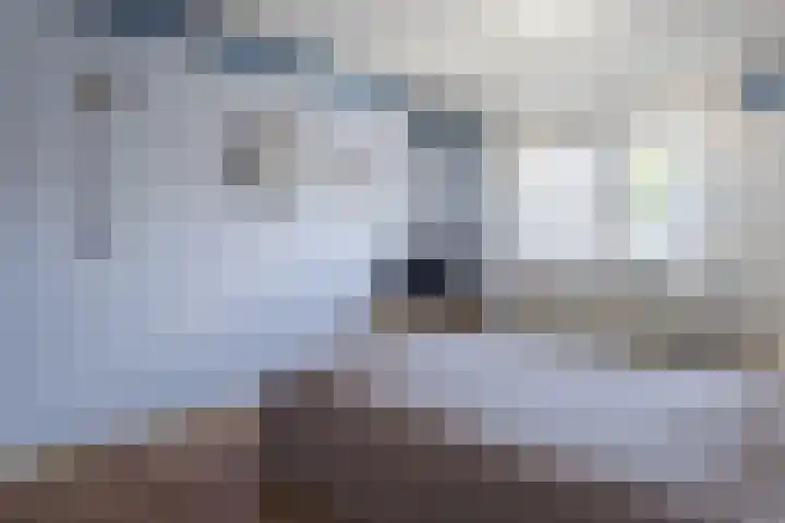 Krokushof 10 Oss thumbnail 14