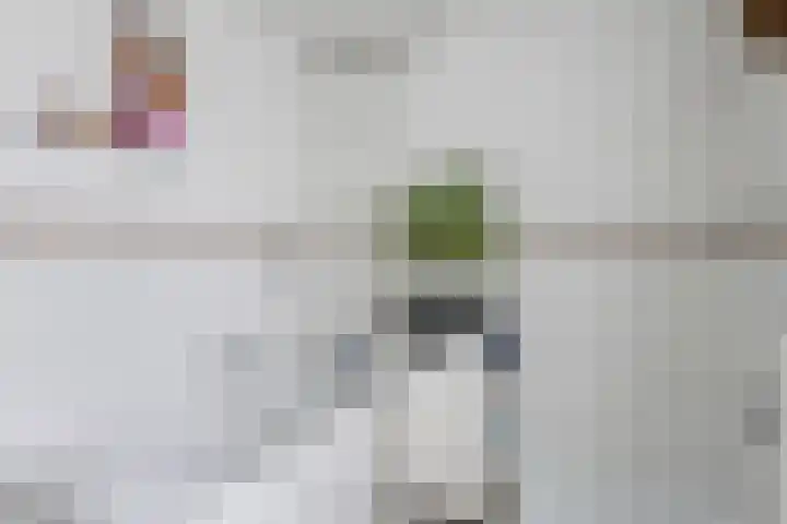 Krokushof 10 Oss thumbnail 17
