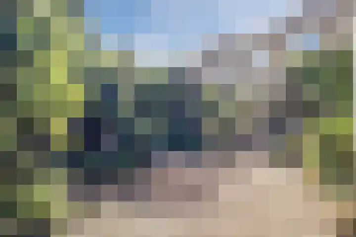 Krokushof 10 Oss thumbnail 26