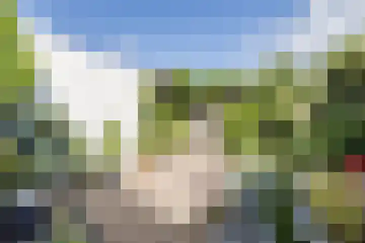 Krokushof 10 Oss thumbnail 27