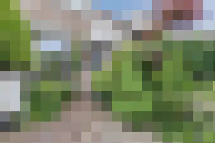 Krokushof 10 Oss thumbnail 28