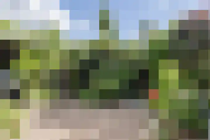 Krokushof 10 Oss thumbnail 30