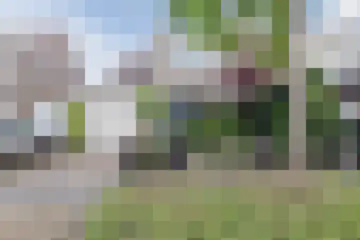 Krokushof 10 Oss thumbnail 31