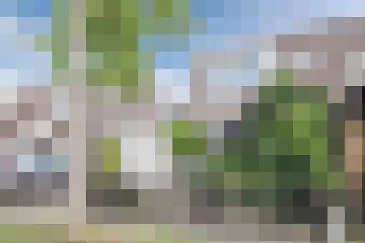 Krokushof 10 Oss thumbnail 32