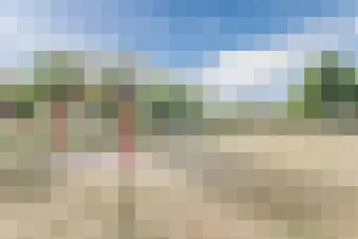 Krokushof 10 Oss thumbnail 35