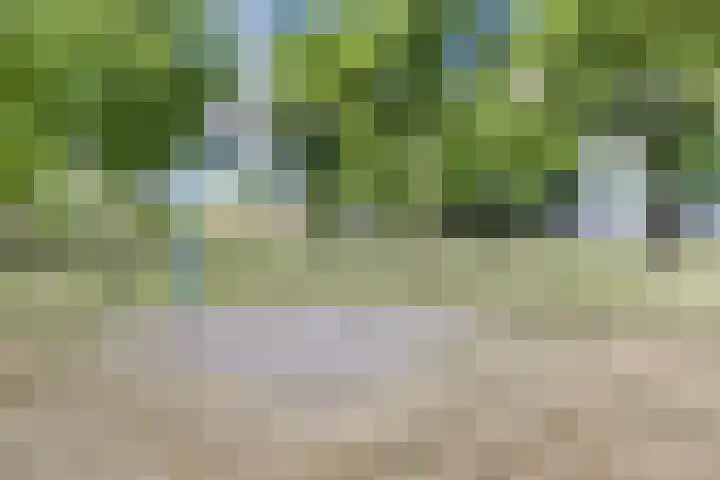 Krokushof 10 Oss thumbnail 36