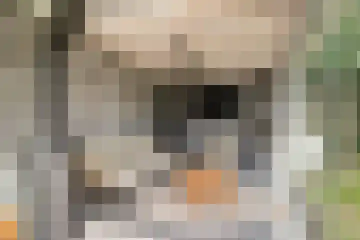 Krokuslaan 18 Leende thumbnail 29