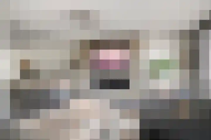 Krokuslaan 18 Leende thumbnail 5