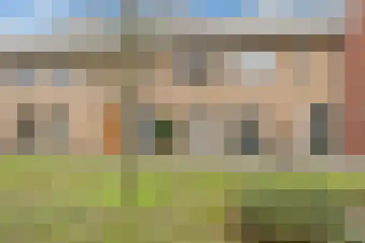 Krokuspad 10 Culemborg thumbnail 36