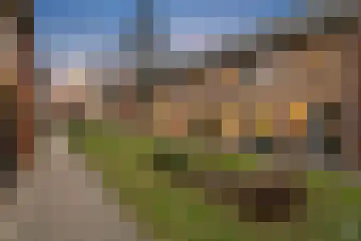 Krokuspad 10 Culemborg thumbnail 38