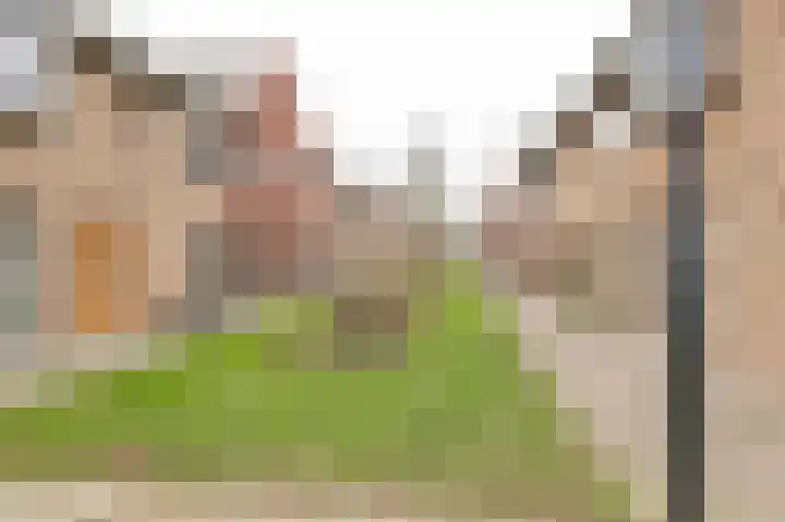 Krokuspad 10 Culemborg thumbnail 41