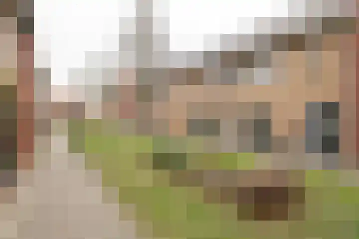 Krokuspad 10 Culemborg thumbnail 42
