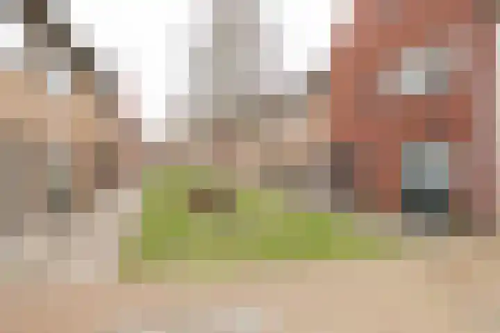 Krokuspad 10 Culemborg thumbnail 43