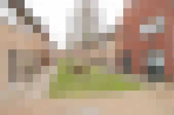 Krokuspad 10 Culemborg thumbnail 6