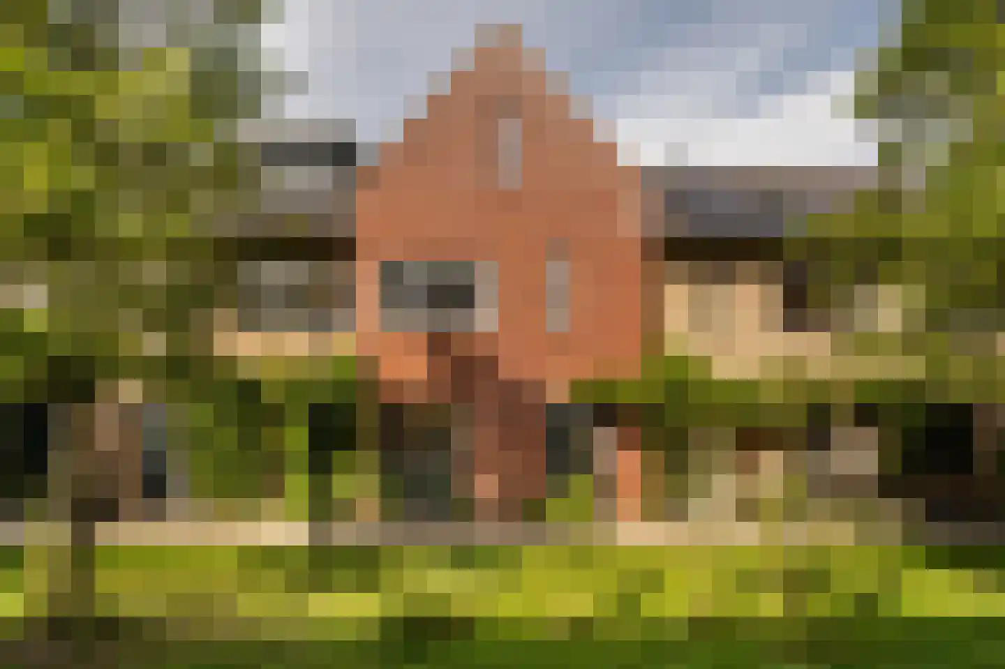 Krokuspad 7 in Culemborg