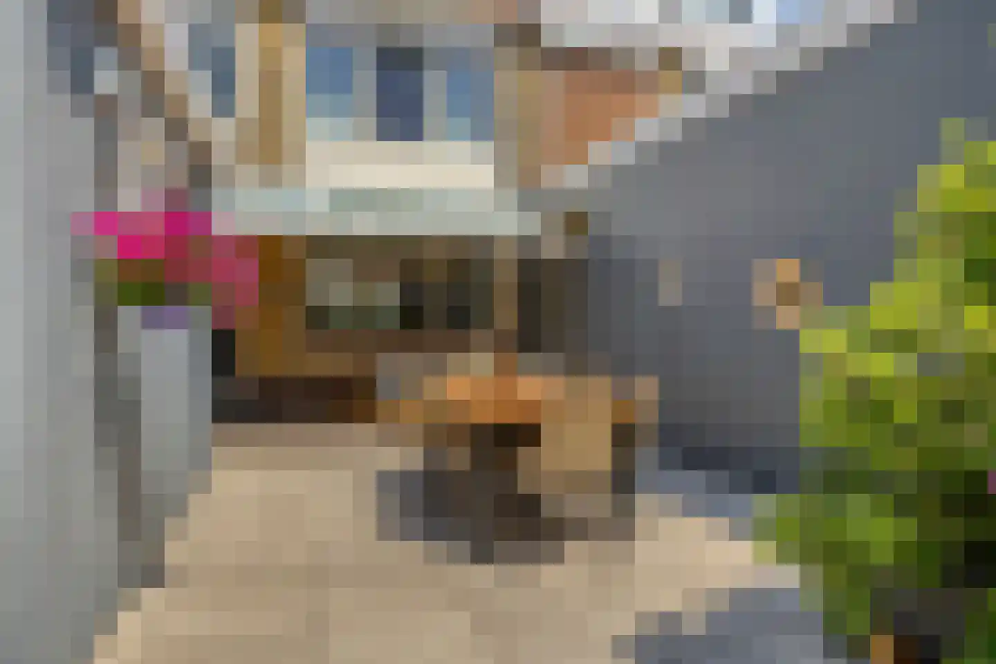 Krokussenstraat 25 Volendam thumbnail 24
