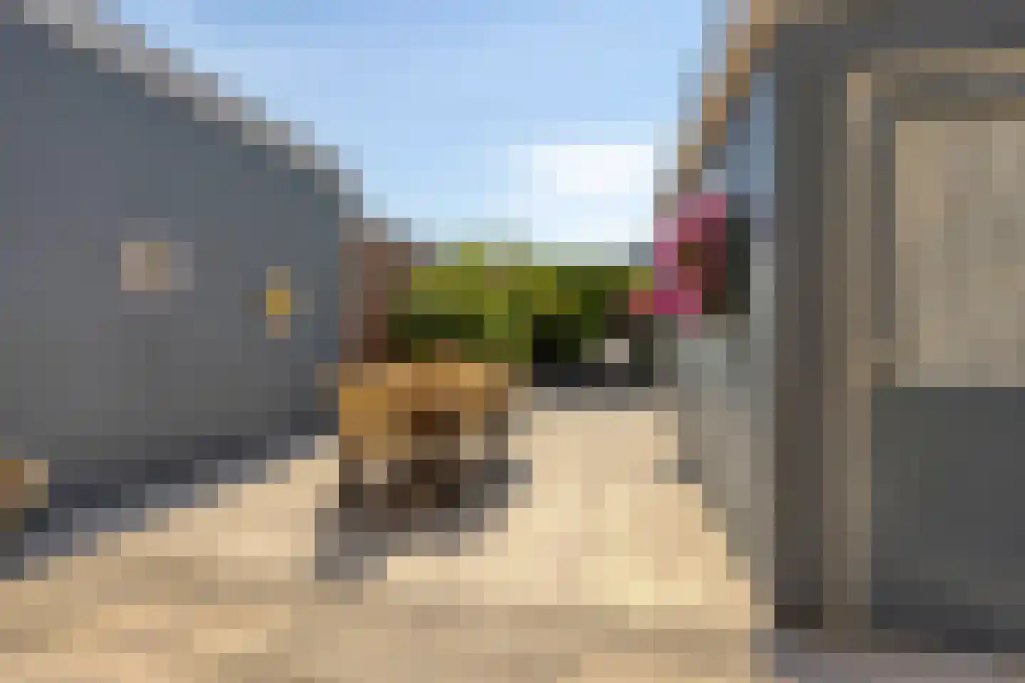 Krokussenstraat 25 Volendam thumbnail 27
