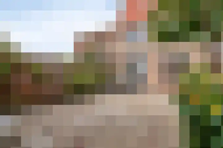Krokusstraat 10 Wormerveer thumbnail 28