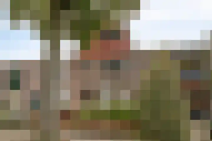 Krokusstraat 10 Wormerveer thumbnail 5