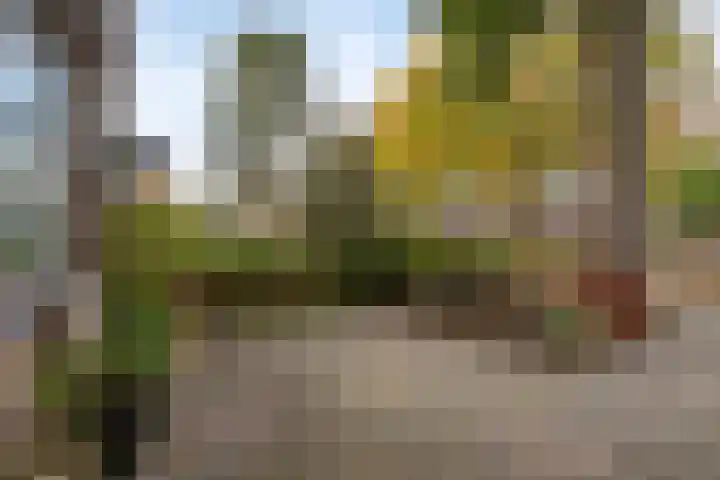 Krokusstraat 10 Wormerveer thumbnail 7
