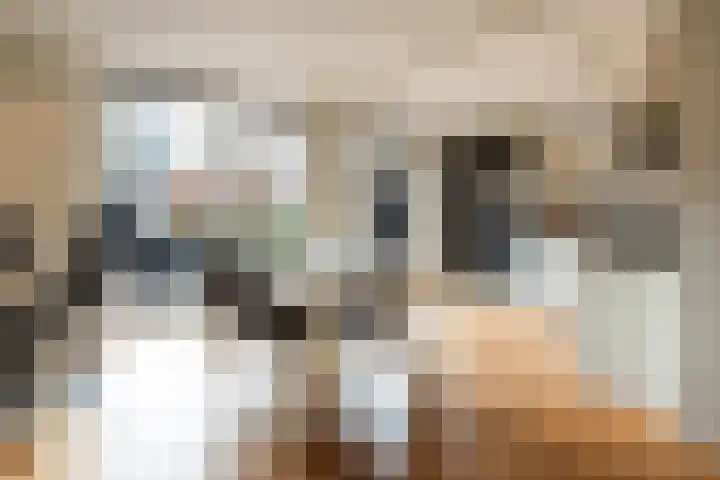 Krokusstraat 2 Putte thumbnail 10