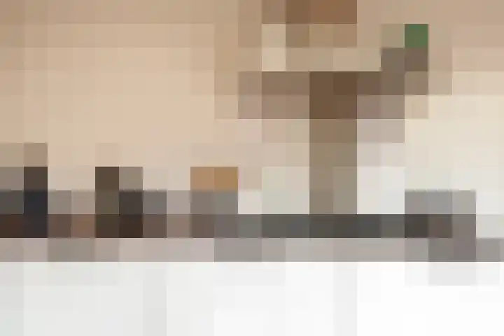 Krokusstraat 2 Putte thumbnail 13