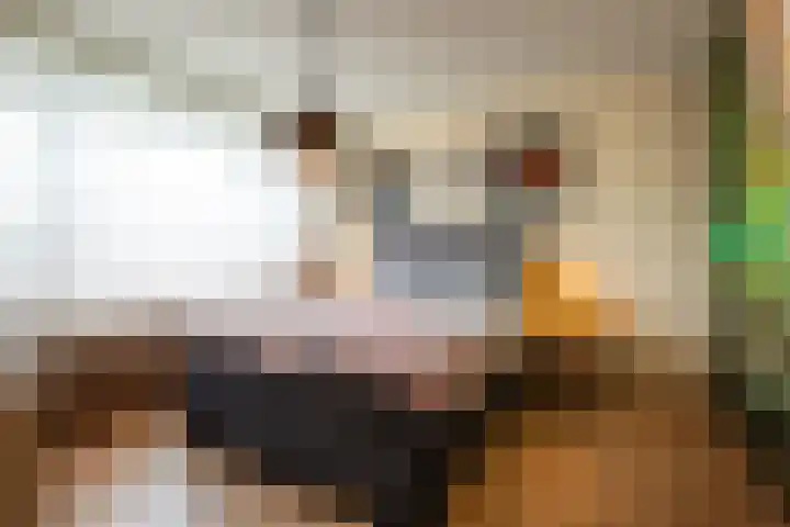 Krokusstraat 2 Putte thumbnail 16