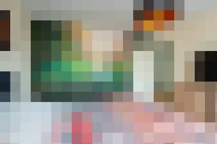 Krokusstraat 2 Putte thumbnail 17