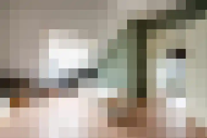 Krokusstraat 2 Putte thumbnail 25