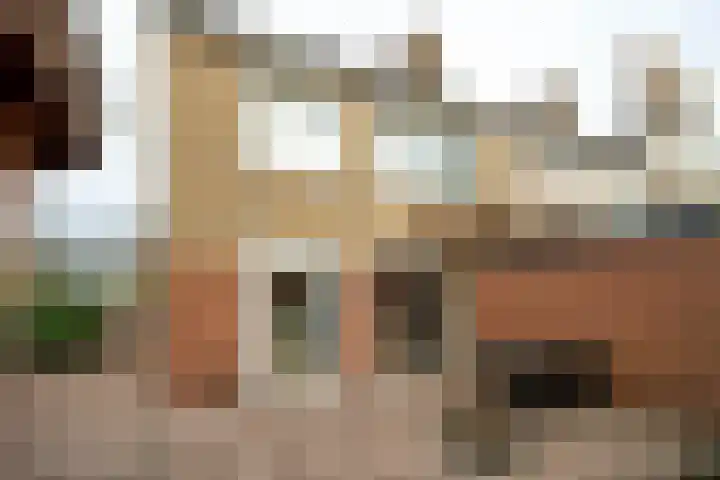 Krokusstraat 2 Putte thumbnail 28