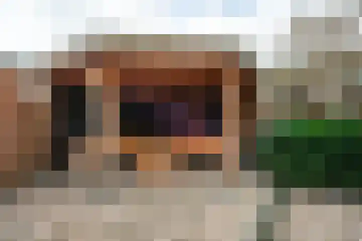 Krokusstraat 2 Putte thumbnail 31